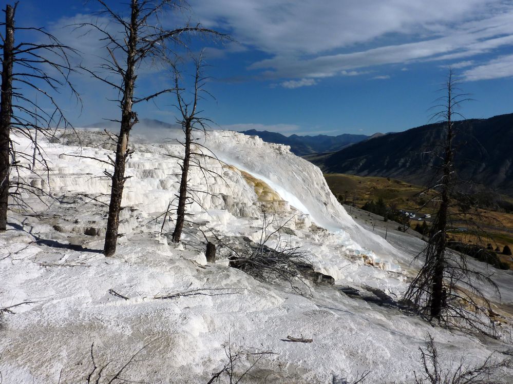 Yellowstone Mammoth Hotsprings (66).JPG